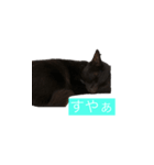 黒猫きぃさん（個別スタンプ：4）