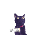 黒猫きぃさん（個別スタンプ：7）