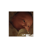 Bokuchan！！！！（個別スタンプ：7）