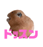 オートバイとコムギ（個別スタンプ：5）