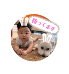 Kotobaby★（個別スタンプ：8）