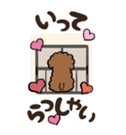 かわいい犬（トイプードル）が話します（個別スタンプ：13）