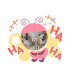 ピピ.ピコすたんぷ！（個別スタンプ：3）