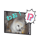 ピピ.ピコすたんぷ！（個別スタンプ：9）