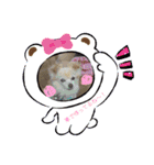 ピピ.ピコすたんぷ！（個別スタンプ：11）