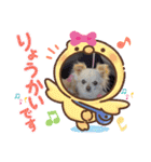 ピピ.ピコすたんぷ！（個別スタンプ：14）