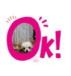 ピピ.ピコすたんぷ！（個別スタンプ：15）