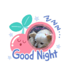 ピピ.ピコすたんぷ！（個別スタンプ：16）