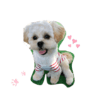 我が家のぷりぷりぷりん（個別スタンプ：1）