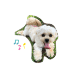 我が家のぷりぷりぷりん（個別スタンプ：2）