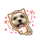 我が家のぷりぷりぷりん（個別スタンプ：3）