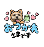 我が家のぷりぷりぷりん（個別スタンプ：4）