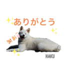 スクールの仲間たち（個別スタンプ：3）