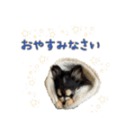 スクールの仲間たち（個別スタンプ：24）