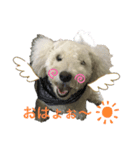 愛犬ポテト君（個別スタンプ：5）