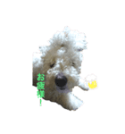 愛犬ポテト君（個別スタンプ：6）