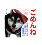 赤いりぼんの可愛い仲間達⑤（個別スタンプ：4）