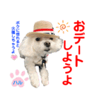 赤いりぼんの可愛い仲間達⑤（個別スタンプ：5）