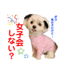 赤いりぼんの可愛い仲間達⑤（個別スタンプ：6）