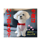 赤いりぼんの可愛い仲間達⑤（個別スタンプ：7）
