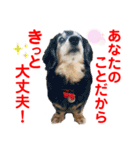 赤いりぼんの可愛い仲間達⑤（個別スタンプ：12）