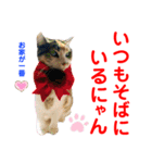 赤いりぼんの可愛い仲間達⑤（個別スタンプ：21）