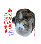 赤いりぼんの可愛い仲間達⑤（個別スタンプ：23）