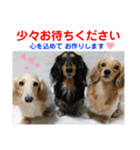 赤いりぼんの可愛い仲間達⑤（個別スタンプ：24）