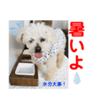 赤いりぼんの可愛い仲間達⑤（個別スタンプ：26）