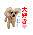 赤いりぼんの可愛い仲間達⑤（個別スタンプ：28）