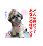 赤いりぼんの可愛い仲間達⑤（個別スタンプ：31）