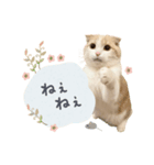 可愛い猫の敬語スタンプ（個別スタンプ：6）
