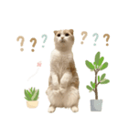可愛い猫の敬語スタンプ（個別スタンプ：7）