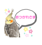 ちろぴーすけぷぅ2（個別スタンプ：1）