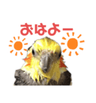 ちろぴーすけぷぅ2（個別スタンプ：2）