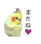 ちろぴーすけぷぅ2（個別スタンプ：6）