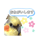 ちろぴーすけぷぅ2（個別スタンプ：7）