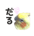 ちろぴーすけぷぅ2（個別スタンプ：8）