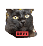 にんざぶろう。ろくっ（個別スタンプ：3）