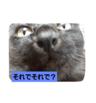 にんざぶろう。ろくっ（個別スタンプ：4）