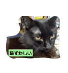 にんざぶろう。ろくっ（個別スタンプ：5）