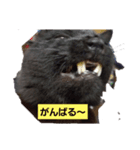 にんざぶろう。ろくっ（個別スタンプ：6）