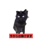 にんざぶろう。ろくっ（個別スタンプ：8）