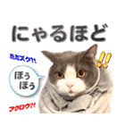 飼い猫「なめ」＆「もっぷ」のスタンプ①（個別スタンプ：5）