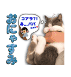 飼い猫「なめ」＆「もっぷ」のスタンプ①（個別スタンプ：8）