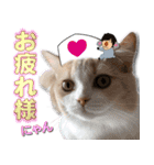 飼い猫「なめ」＆「もっぷ」のスタンプ①（個別スタンプ：9）