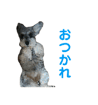 毎日ぐ〜たらしてます2（個別スタンプ：1）