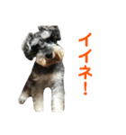 毎日ぐ〜たらしてます2（個別スタンプ：3）