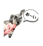 毎日ぐ〜たらしてます2（個別スタンプ：7）