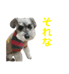 毎日ぐ〜たらしてます2（個別スタンプ：10）